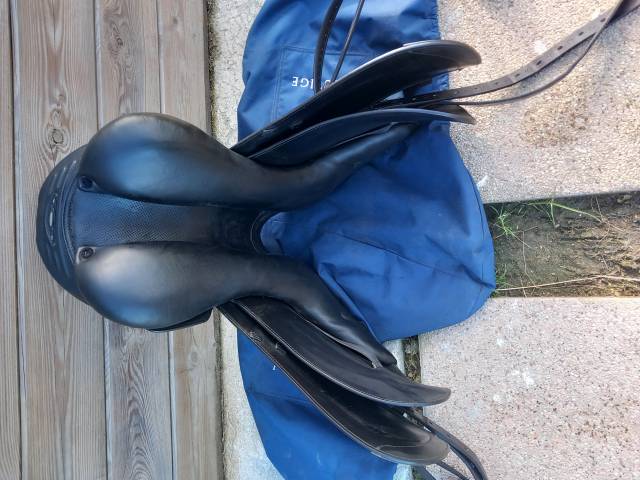 Sella da dressage Prestige Italia  17" - 2024