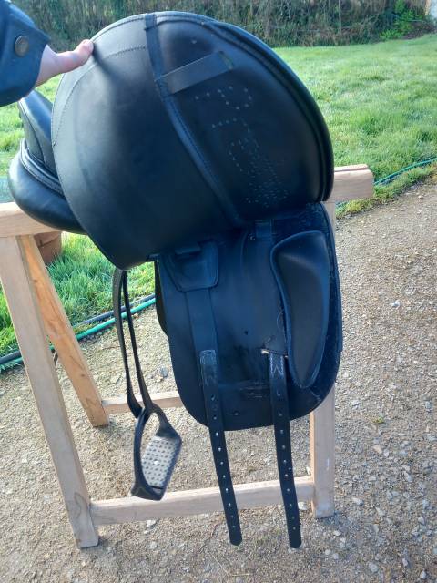 Sella da dressage Prestige Italia  17" - 2024