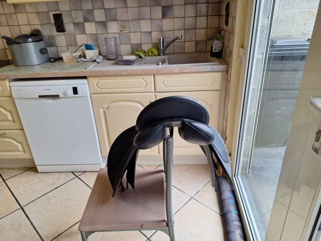 Altra sella Wintec  17" - 2020