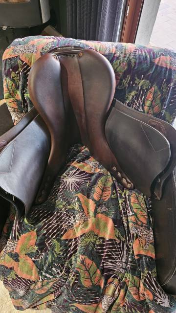 Sella da salto ostacoli Delgrange  17.5" - 2021