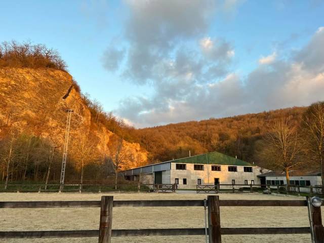 Groom, Centro di stagione cavallo - CDD Tempo pieno - Li&egrave;ge Belgio