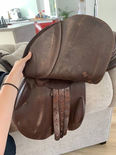 Sella mista Prestige Italia  17" - 2012