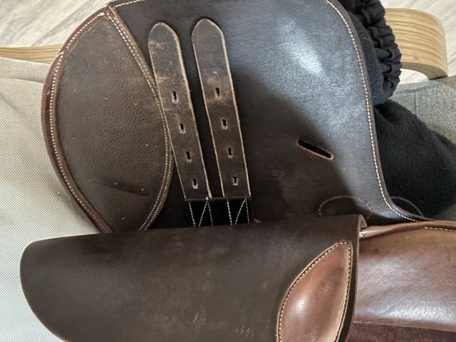 Sella da salto ostacoli  Guy Cantin  &eacute;volution jumping  15.5" - 2024