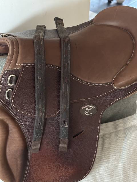 Sella da salto ostacoli  Guy Cantin  &eacute;volution jumping  15.5" - 2024