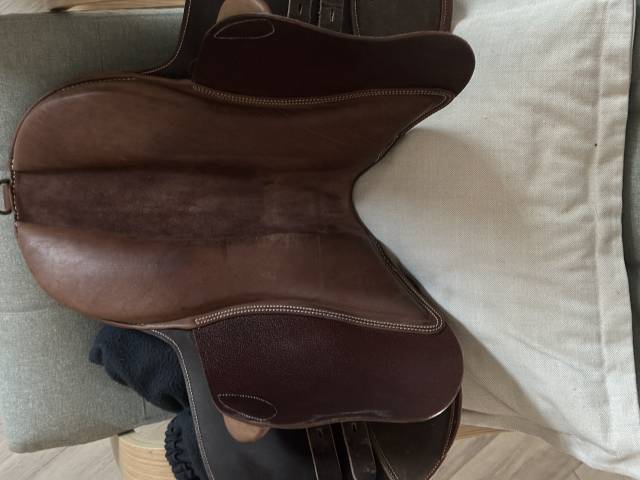 Sella da salto ostacoli  Guy Cantin  &eacute;volution jumping  15.5" - 2024