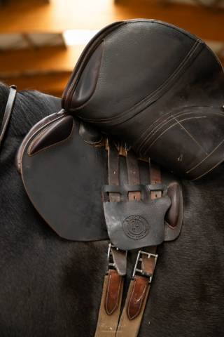 Sella da salto ostacoli Arion  17.5" - 2021