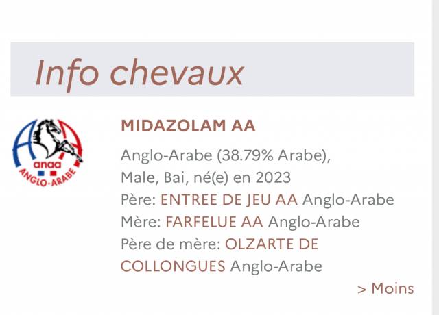 Midazolam - Anglo-Arabo 2023