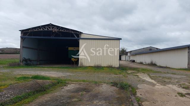 Azienda ovina In vendita Deux-S&egrave;vres