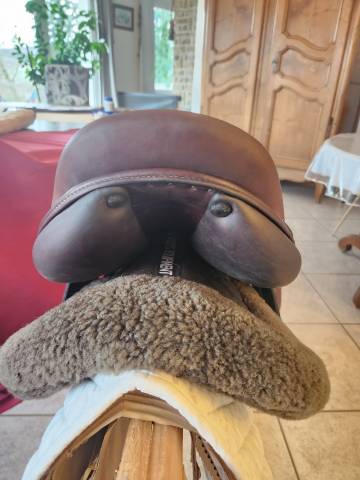 Sella da salto ostacoli Baude Bayon 17.5" - 2025