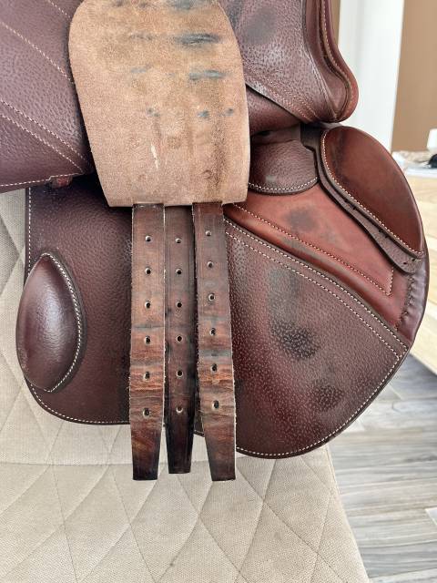 Sella da salto ostacoli CWD  17.5" - 2021