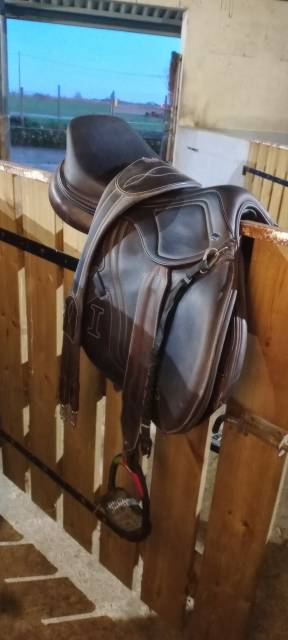 Sella mista Ikonic  17.5" - 2017