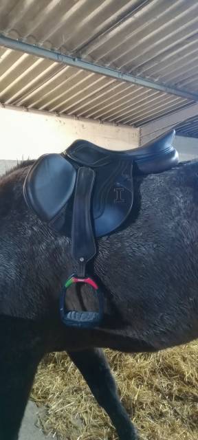 Sella mista Ikonic  17.5" - 2017