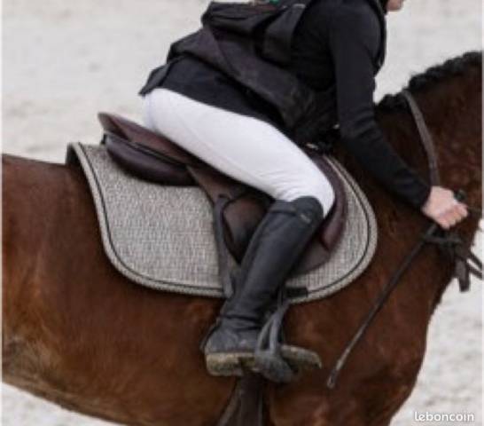 Sella da salto ostacoli  GBS 16.5" - 2019