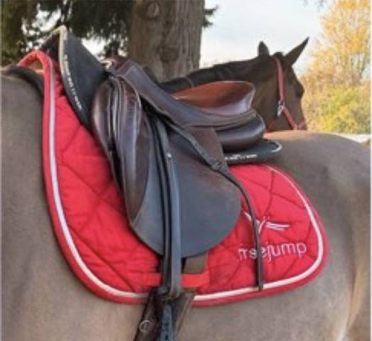 Sella da salto ostacoli  GBS 16.5" - 2019