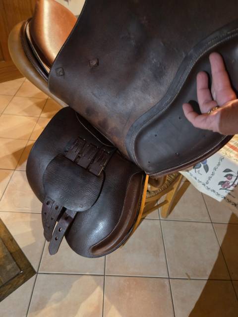 Sella mista   17.5" - 2010