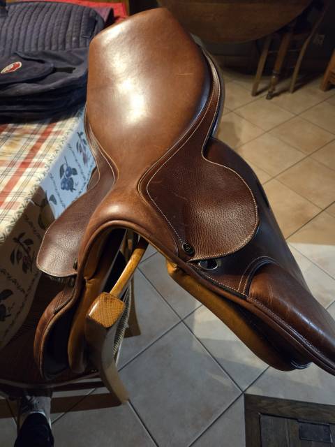 Sella mista   17.5" - 2010