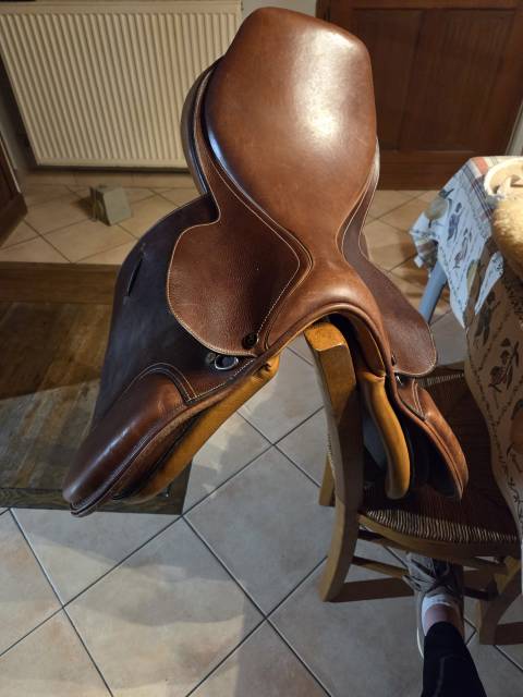 Sella mista   17.5" - 2010