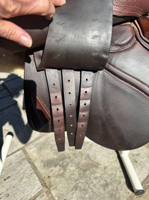 Sella da salto ostacoli CWD  17.5" - 2008