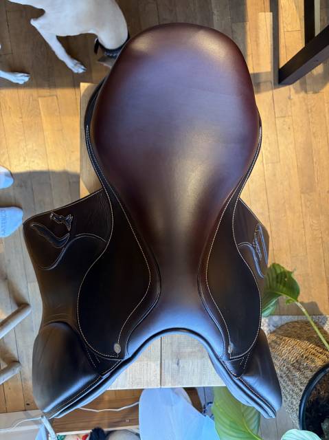 Sella da salto ostacoli Antar&egrave;s  17.5" - 2024