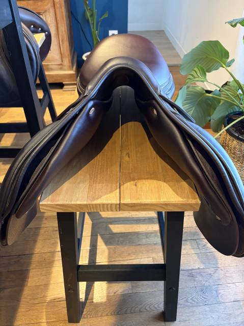 Sella da salto ostacoli Antar&egrave;s  17.5" - 2024