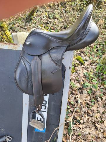 Sella mista Thorowgood   17" - 2025