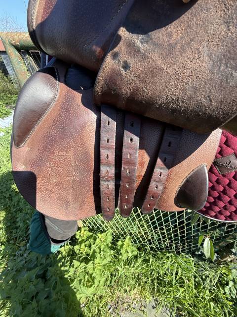 Sella mista Forestier  18" - 2023