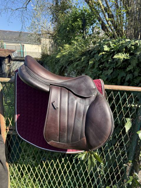 Sella mista Forestier  18" - 2023