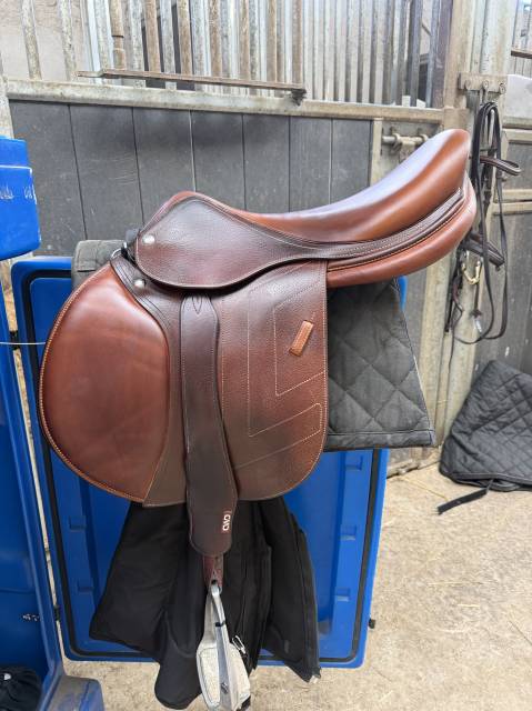 Sella da salto ostacoli Renaissance  18" - 2024