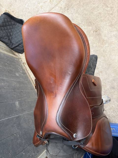 Sella da salto ostacoli Renaissance  18" - 2024