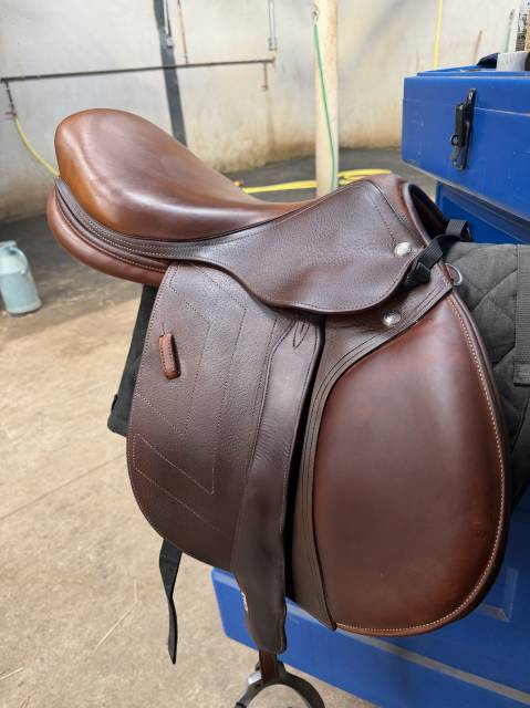 Sella da salto ostacoli Renaissance  18" - 2024