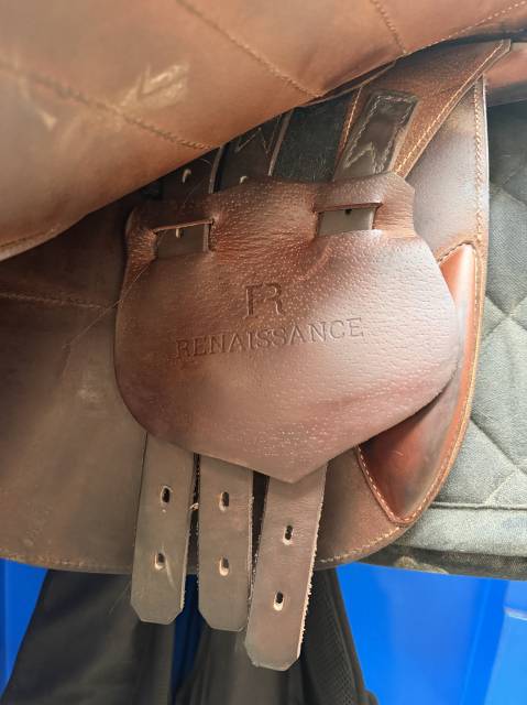 Sella da salto ostacoli Renaissance  18" - 2024