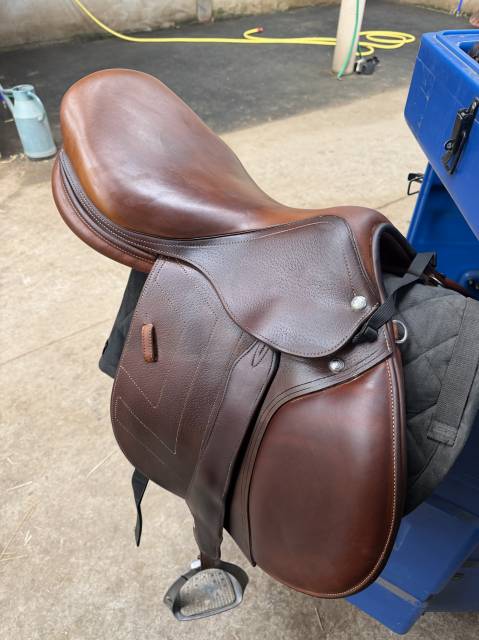 Sella da salto ostacoli Renaissance  18" - 2024