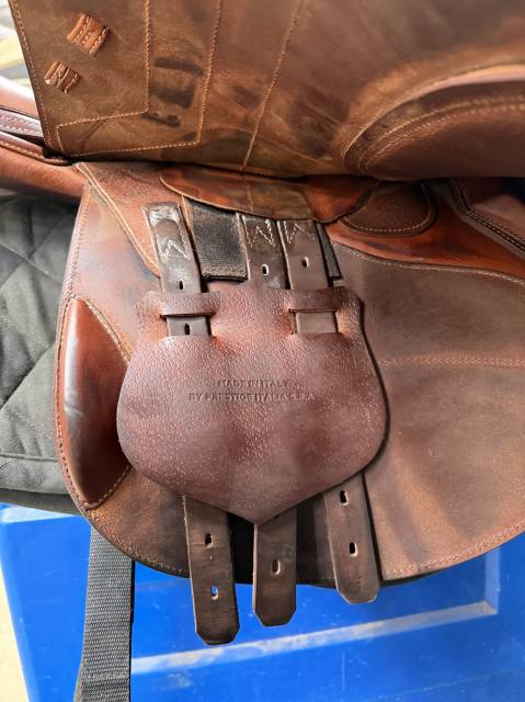 Sella da salto ostacoli Renaissance  18" - 2024