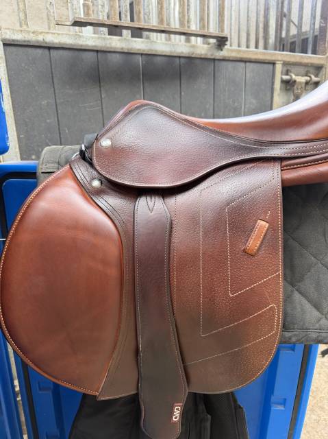 Sella da salto ostacoli Renaissance  18" - 2024