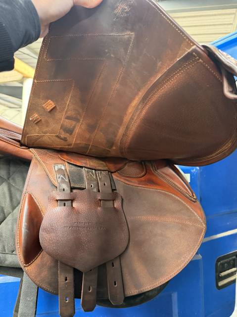 Sella da salto ostacoli Renaissance  18" - 2024