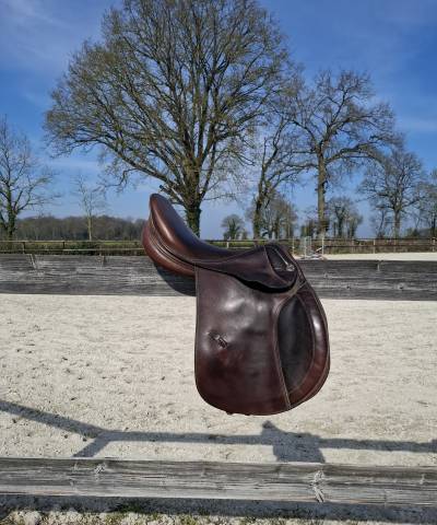 Sella da salto ostacoli Prestige Italia  17.5" - 2000