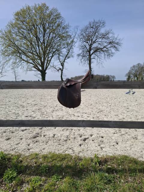 Sella da salto ostacoli Prestige Italia  17.5" - 2000