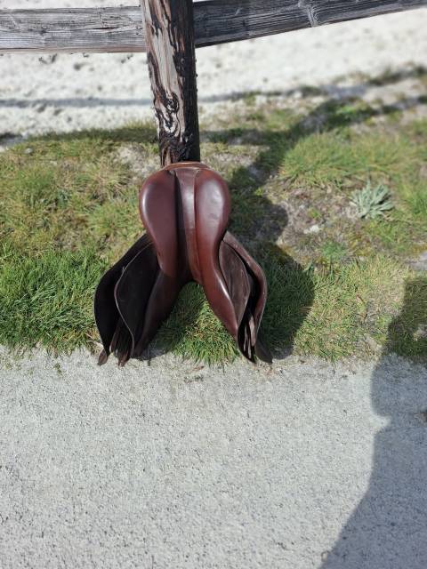 Sella da salto ostacoli Prestige Italia  17.5" - 2000