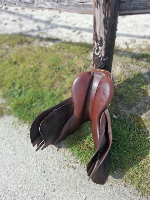 Sella da salto ostacoli Prestige Italia  17.5" - 2000