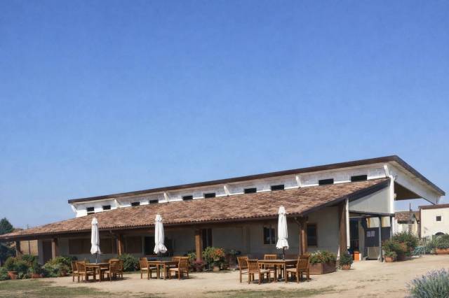 Complesso imm. adibito ad Azienda Agricola con Maneggio