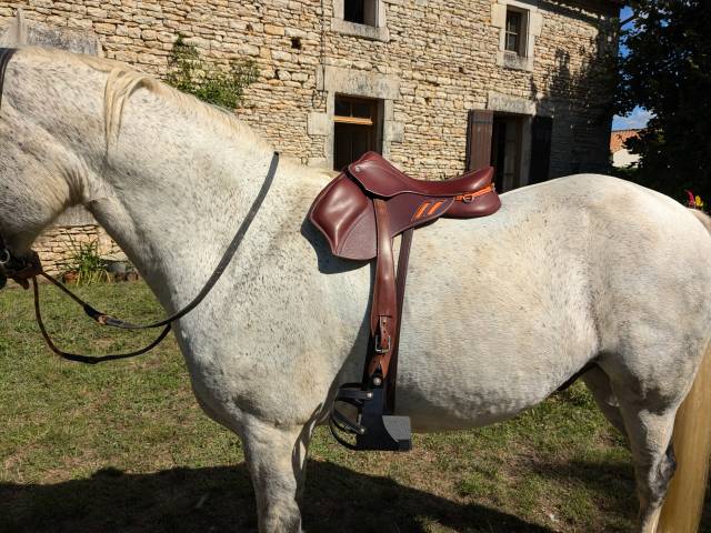 Sella da endurance Devoucoux  17.5" - 2023