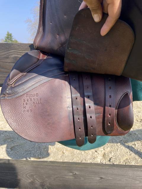 Sella mista Forestier  18" - 2022