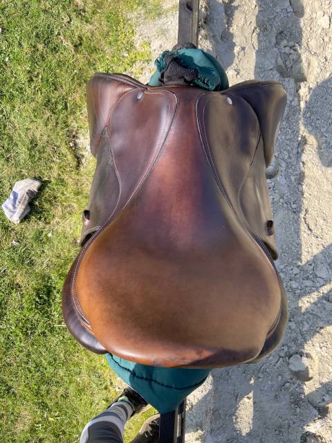 Sella mista Forestier  18" - 2022