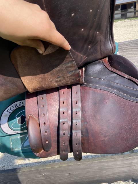 Sella mista Forestier  18" - 2022