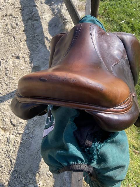 Sella mista Forestier  18" - 2022