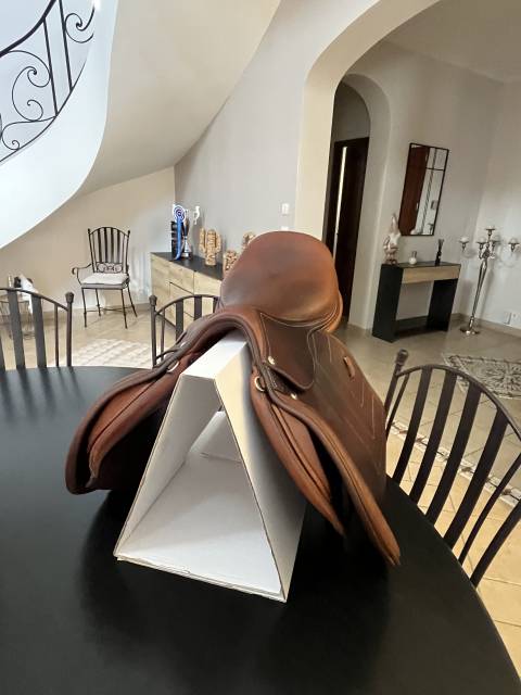 Sella da salto ostacoli Renaissance  18" - 2022