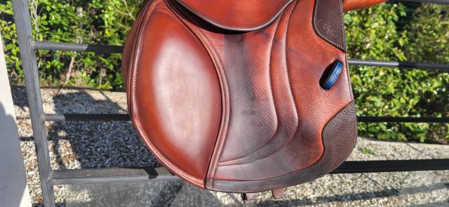 Sella da salto ostacoli CWD  16" - 2022