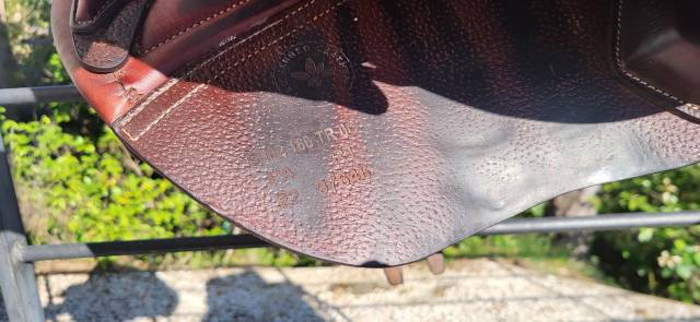 Sella da salto ostacoli CWD  16" - 2022