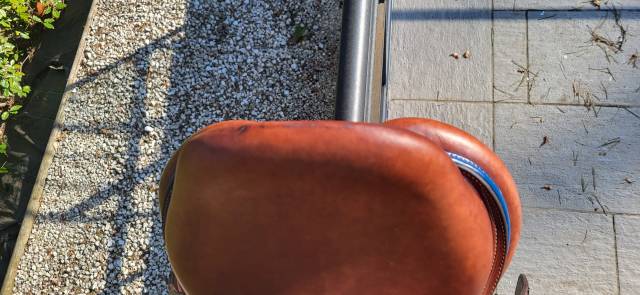 Sella da salto ostacoli CWD  16" - 2022