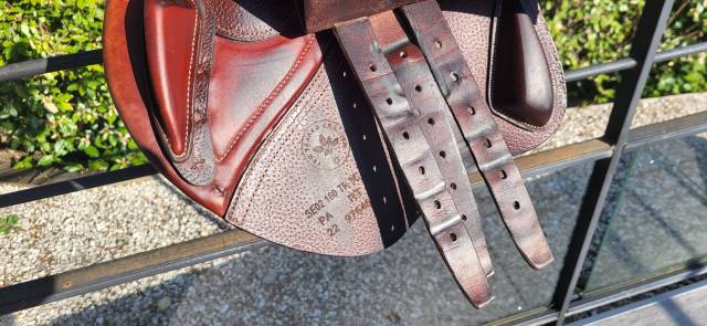 Sella da salto ostacoli CWD  16" - 2022